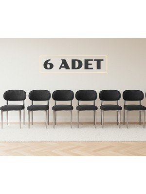 JoyMassa Polo Sandalye 6 Adet Nikel Ayaklı