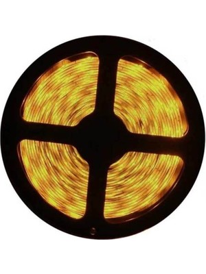 Cata 240 Çipli Şerit LED Amber 5mt/adet Cat CT-4538