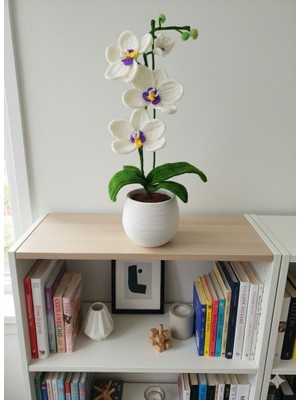 Henera Atelier El Örgüsü Saksıda Orkide / Sevgililer Günü / Hediyelik /doğum Hediyesi /öğretmenler Günü/çiçek