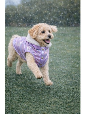 Gedyco Shiny Lilac Kalın Polarlı Küçük Irk Köpek Yeleği
