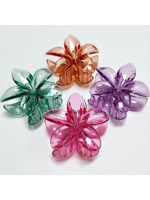 SHC4200 Lotus Toka 6 cm