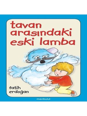SHC4200 Tavan Arasındaki Eski Lamba