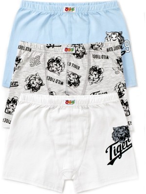 Öts Erkek Çocuk Boxer 3'lü Baskılı (%96 Pamuk - %4 Elastan)