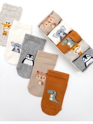 Karamila 5'li Pamuklu Bebek Patik Çorap Kutulu