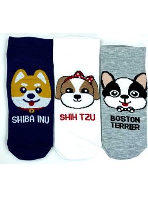 3 Çift Sevimli Köpek Temalı Baskılı Yumuşak Kadın Bilek Çorap