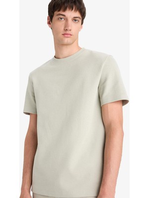 DeFacto Regular Fit Bisiklet Yaka Kısa Kollu Pamuklu Ağır Kumaş Tişört E2587AX25SM