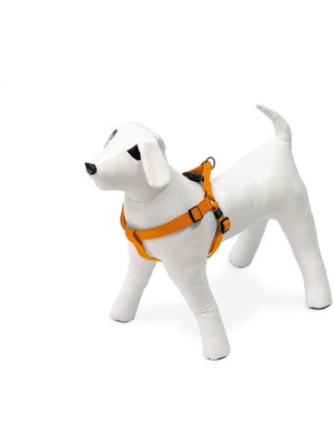 Hepta Collection Kilitli Göğüs Tasma, Köpek, S, 25-45 Cm, Turuncu