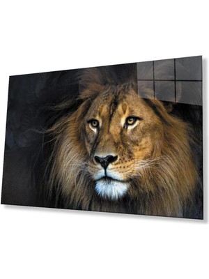 idealizbiz Aslan Cam Tablo 4mm Dayanıklı Temperli Cam