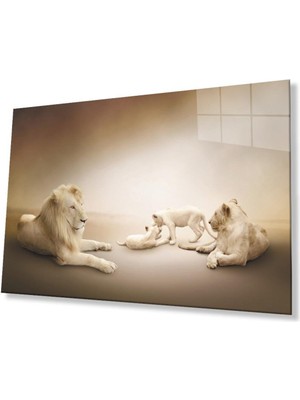 idealizbiz Aslan Cam Tablo 4mm Dayanıklı Temperli Cam