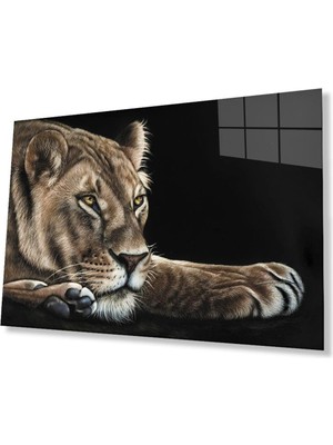 idealizbiz Aslan Cam Tablo 4mm Dayanıklı Temperli Cam