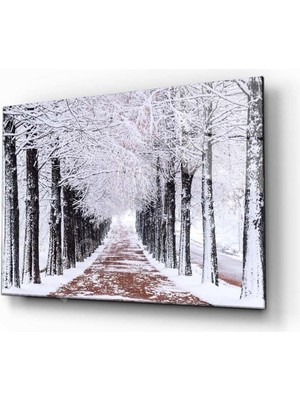 idealizbiz Kış Manzarası Doğa Cam Tablo 4mm Dayanıklı Temperli Cam