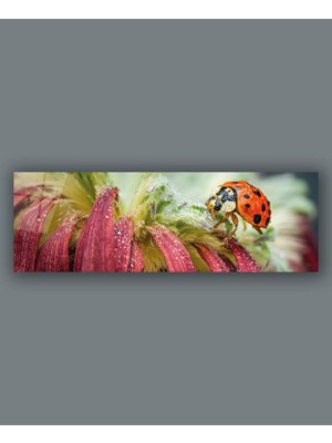idealizbiz Çiçek ve Uğurböceği Panoramik Cam Tablo Hediyelik Büyük Tablo Ev Ofis Dekoru