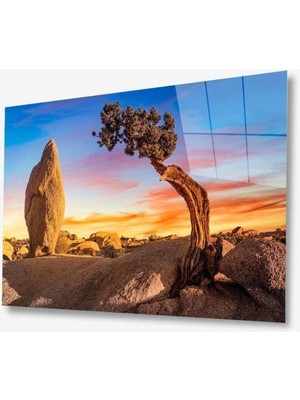 idealizbiz Doğa Cam Tablo 4mm Dayanıklı Temperli Cam