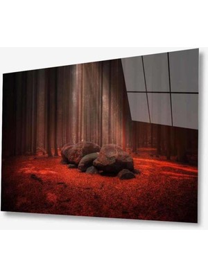 idealizbiz Doğa Cam Tablo 4mm Dayanıklı Temperli Cam