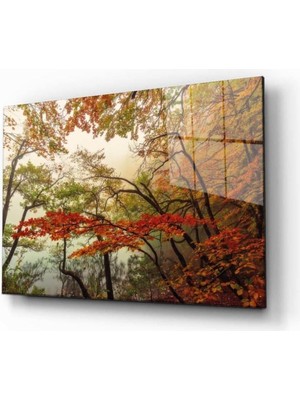 idealizbiz Doğa Temperli Cam Tablo