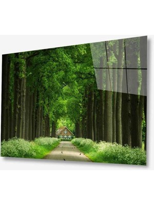 idealizbiz Doğa Cam Tablo 4mm Dayanıklı Temperli Cam