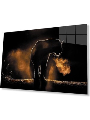 idealizbiz Aslan Cam Tablo 4mm Dayanıklı Temperli Cam