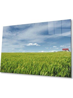 idealizbiz Çimen Cam Tablo