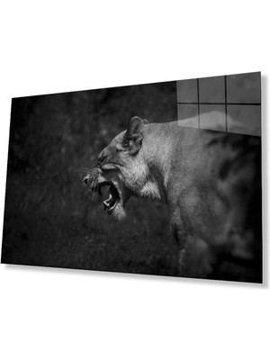 idealizbiz Aslan Cam Tablo 4mm Dayanıklı Temperli Cam