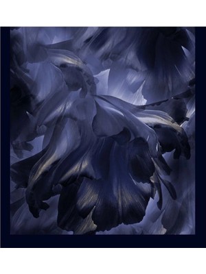 Şehri Şal Bambu Kraş Şal 6186 D10