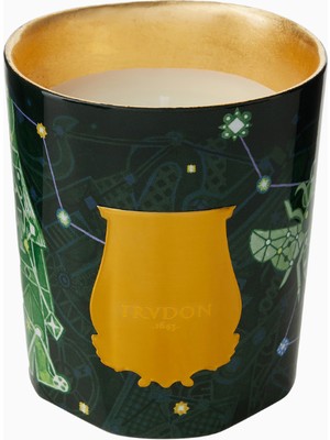 Trudon Fir Classic Odunsu Kokulu Mum