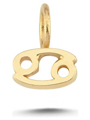 Cherry By Özkonak Yengeç Burcu Charm