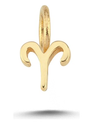 Cherry By Özkonak Koç Burcu Charm