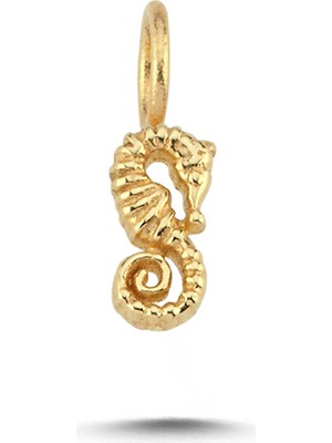 Cherry By Özkonak Deniz Atı Charm