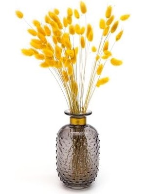 Karokstore Boyunlu Cam Vazo (15 Cm)