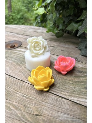 Karokstore Laui Sukulent Mum Kalıbı (Silikon)