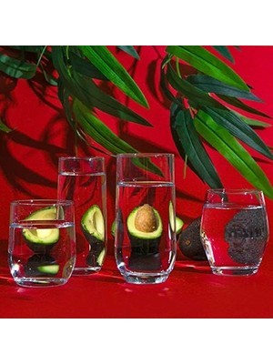 Karokstore SUD25F 6'lı Meşrubat Bardağı