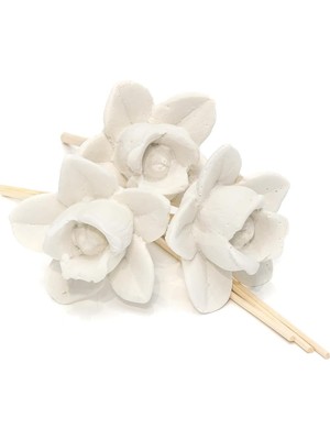 Karokstore Gül Seramik Taşlı 10'lu Doğal Bambu Kamış Seti