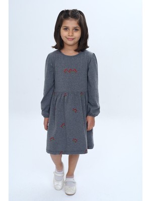 Toontoy Kız Çocuk Relax Fit Bisiklet Yaka Uzun Kollu Baskılı Elbise
