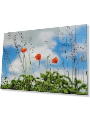 idealizbiz Gelincik Çiçeği Cam Tablo 4mm Dayanıklı Temperli Cam Poppy Flower Glass Wall Art