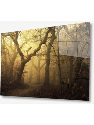 idealizbiz Doğa Cam Tablo 4mm Dayanıklı Temperli Cam