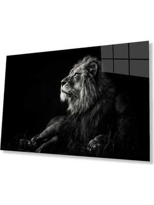 idealizbiz Aslan Cam Tablo 4mm Dayanıklı Temperli Cam