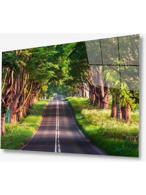 idealizbiz Doğa Cam Tablo 4mm Dayanıklı Temperli Cam