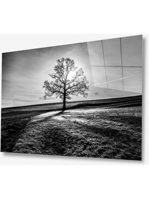 idealizbiz Doğa Cam Tablo 4mm Dayanıklı Temperli Cam