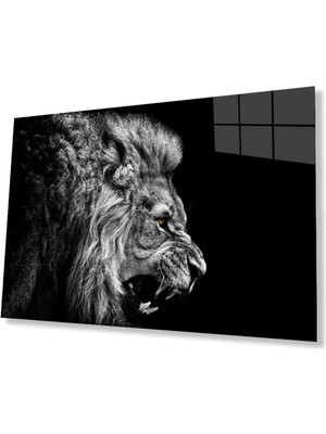 idealizbiz Aslan Cam Tablo 4mm Dayanıklı Temperli Cam