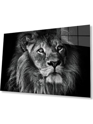 idealizbiz Aslan Cam Tablo 4mm Dayanıklı Temperli Cam