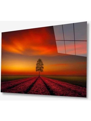 idealizbiz Doğa Cam Tablo 4mm Dayanıklı Temperli Cam