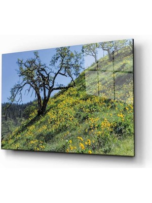 idealizbiz Doğa Temperli Cam Tablo