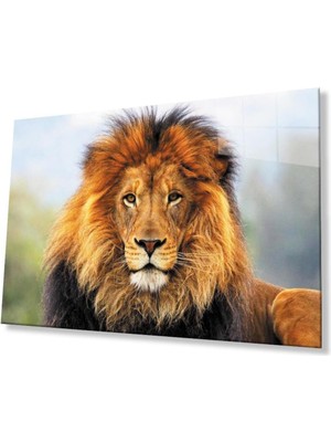 idealizbiz Aslan Cam Tablo 4mm Dayanıklı Temperli Cam