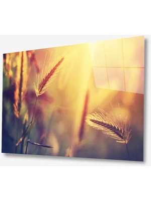 idealizbiz Doğa Cam Tablo 4mm Dayanıklı Temperli Cam