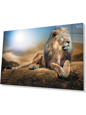 idealizbiz Aslan Cam Tablo 4mm Dayanıklı Temperli Cam