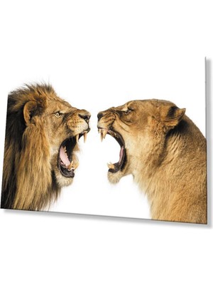 idealizbiz Aslan Cam Tablo 4mm Dayanıklı Temperli Cam