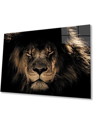 idealizbiz Aslan Cam Tablo