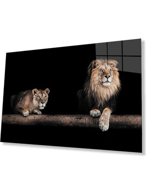idealizbiz Aslan Cam Tablo 4mm Dayanıklı Temperli Cam