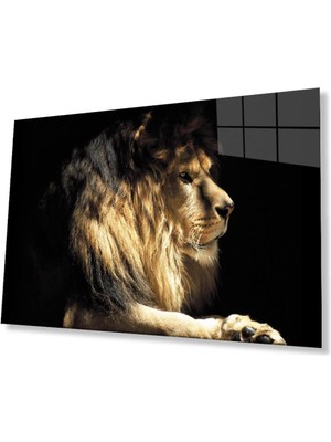 idealizbiz Aslan Cam Tablo 4mm Dayanıklı Temperli Cam