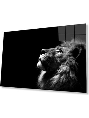 idealizbiz Aslan Cam Tablo 4mm Dayanıklı Temperli Cam